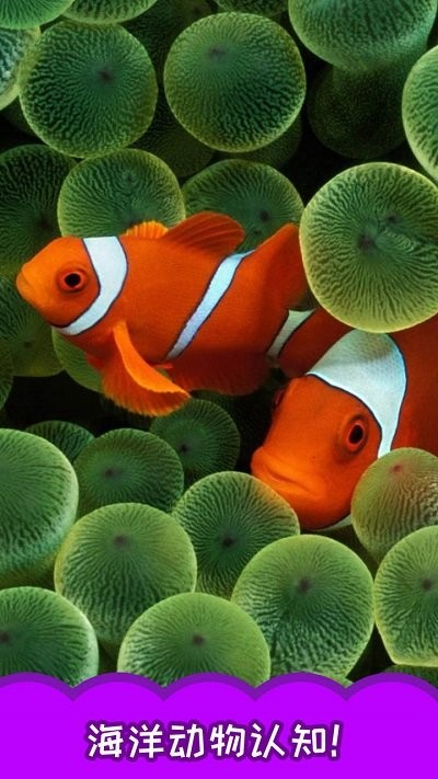 儿童大鱼吃小鱼小游戏图1