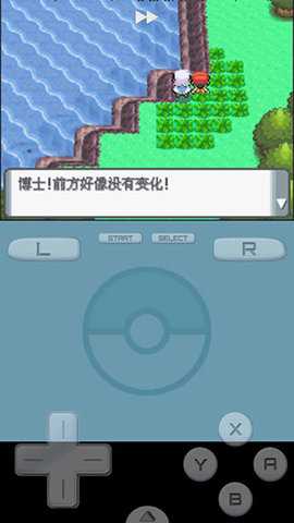 口袋妖怪珍珠nds版图2