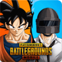 PUBGMOBILE国际版