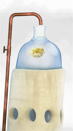 行走的老鲸鱼图1