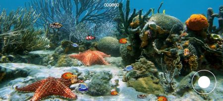 大鱼我不怕你图2