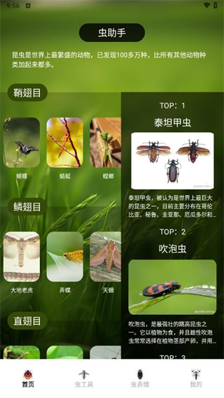 虫助手大师图3