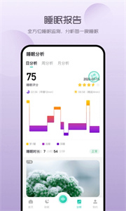 萤火虫睡眠图1