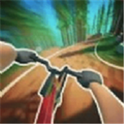 自行车山地赛3D