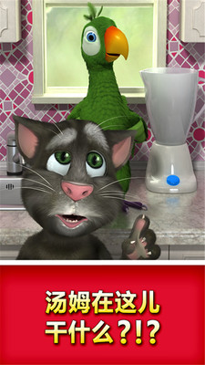 会说话的鹦鹉图3