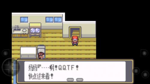 口袋妖怪黑白中文版图1