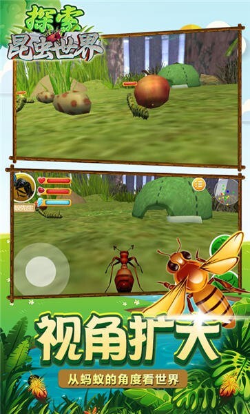 探索昆虫世界手机版图3