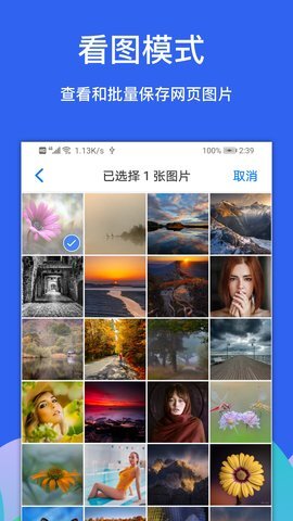 Alook浏览器图4
