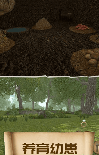 疯狂地鼠城官方版(1)