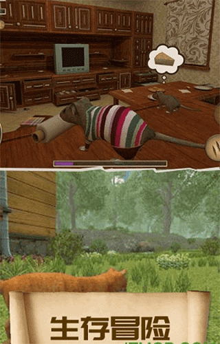 疯狂地鼠城官方版(3)