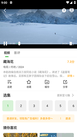 白鸟影评图2