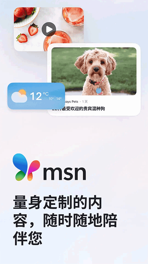 MSN图1