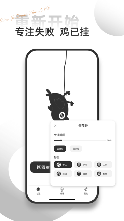 小鸡专注自律学习图3