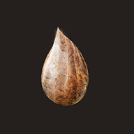 有丝分裂游戏(Mitoza)