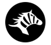 斑马快跑司机端