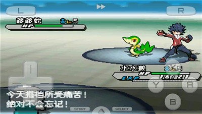 口袋妖怪白2图4