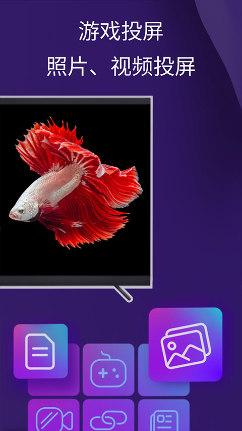 雨燕投屏手机版图3
