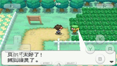 口袋妖怪白2图2