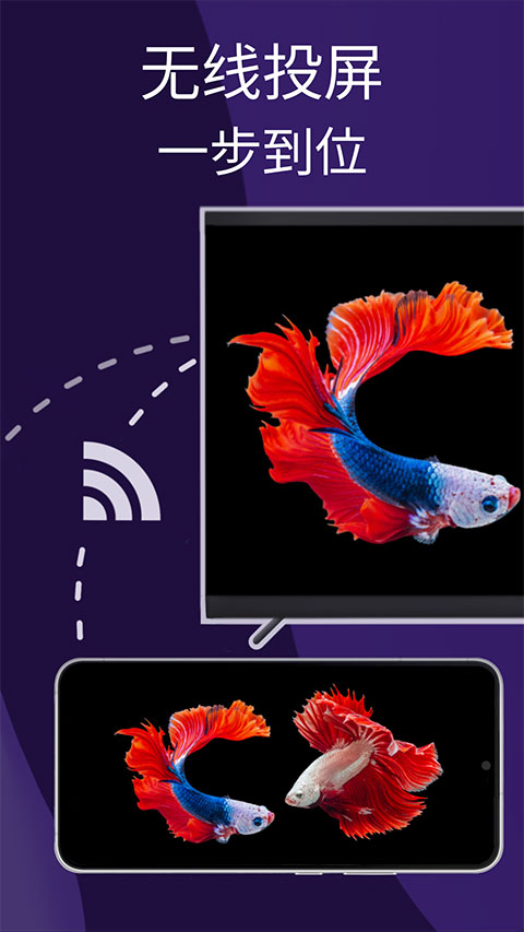 雨燕投屏手机版图4