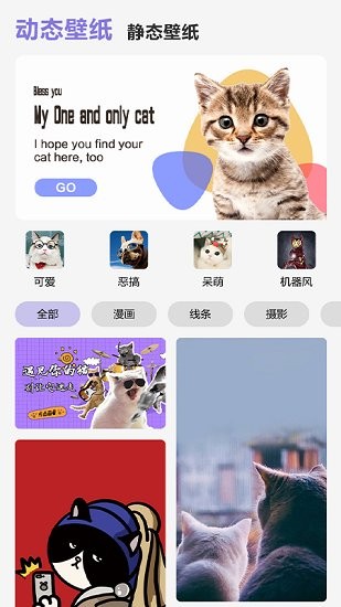 可爱喵喵壁纸大全图2