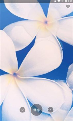 4K高清壁纸精灵图2