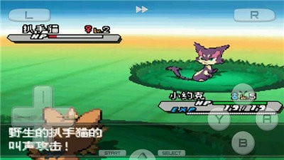 口袋妖怪白2图3