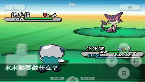 口袋妖怪黑2汉化版(3)