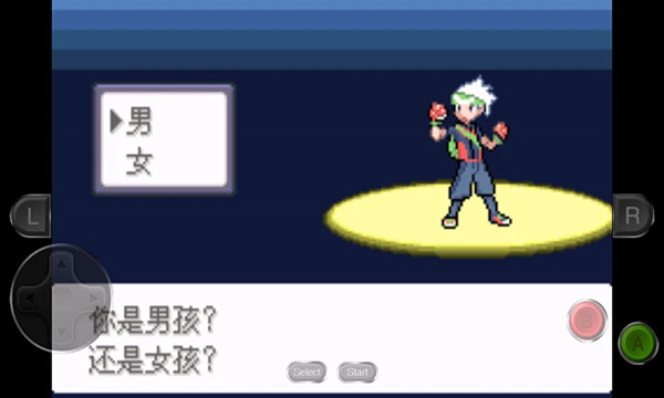 口袋妖怪永恒之沫图1