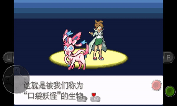 口袋妖怪永恒之沫图3