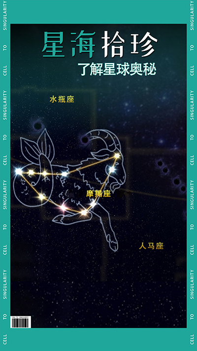 从细胞到奇点官方正版(5)