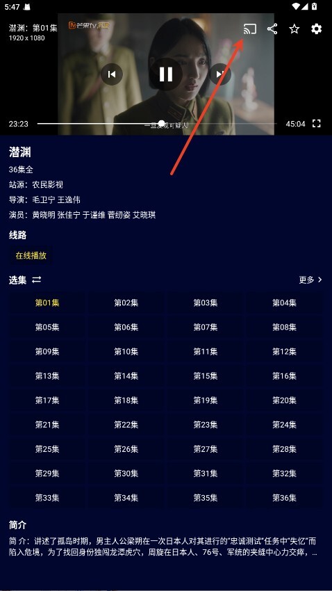 黑猫影视正版截图4