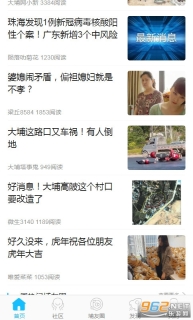 大埔网图3