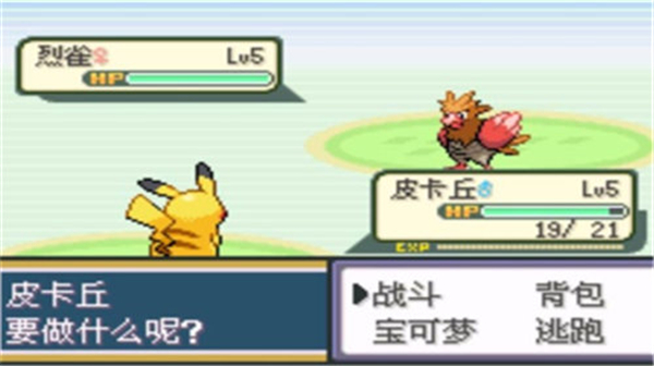 口袋妖怪圣灰汉化版图1