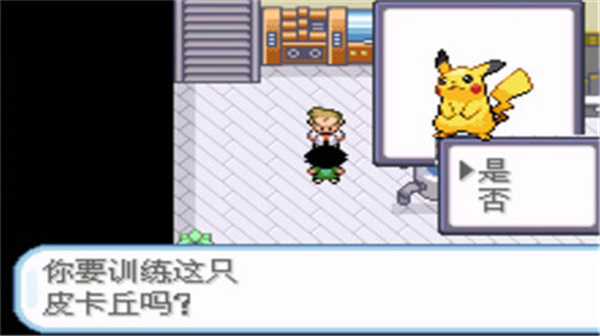 口袋妖怪圣灰汉化版图2