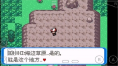 口袋妖怪圣灰汉化版图3