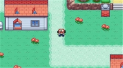 口袋妖怪圣灰汉化版图4