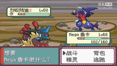 口袋妖怪永恒之沫中文版图2