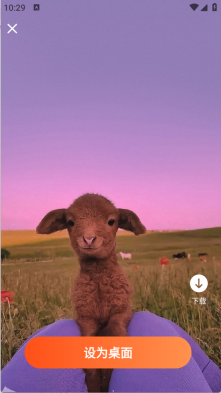 花令壁纸app官网版