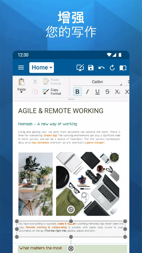 OfficeSuite Pro(2)