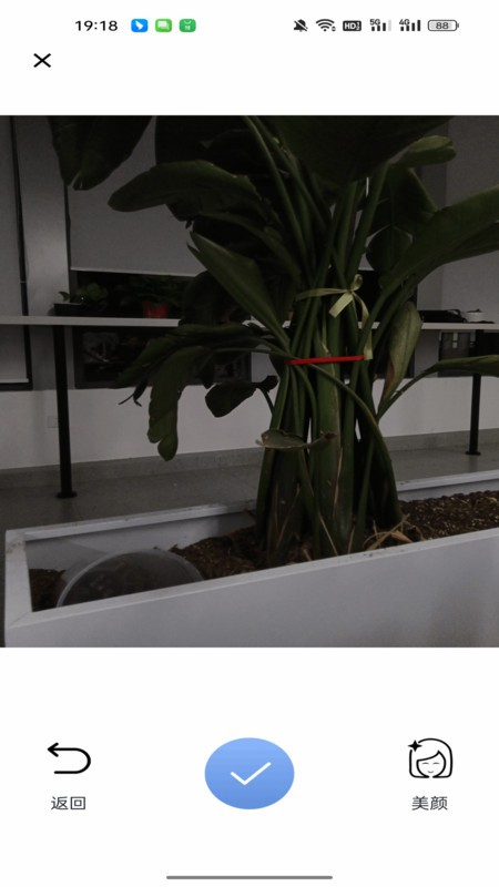 美颜复古照相机(3)