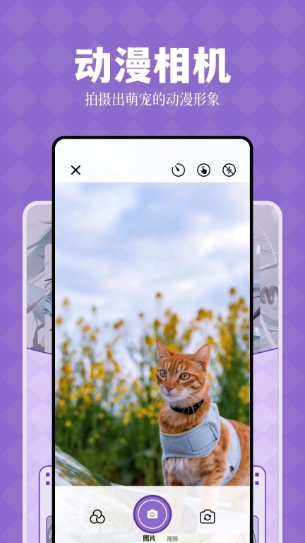 喵次元无广告版