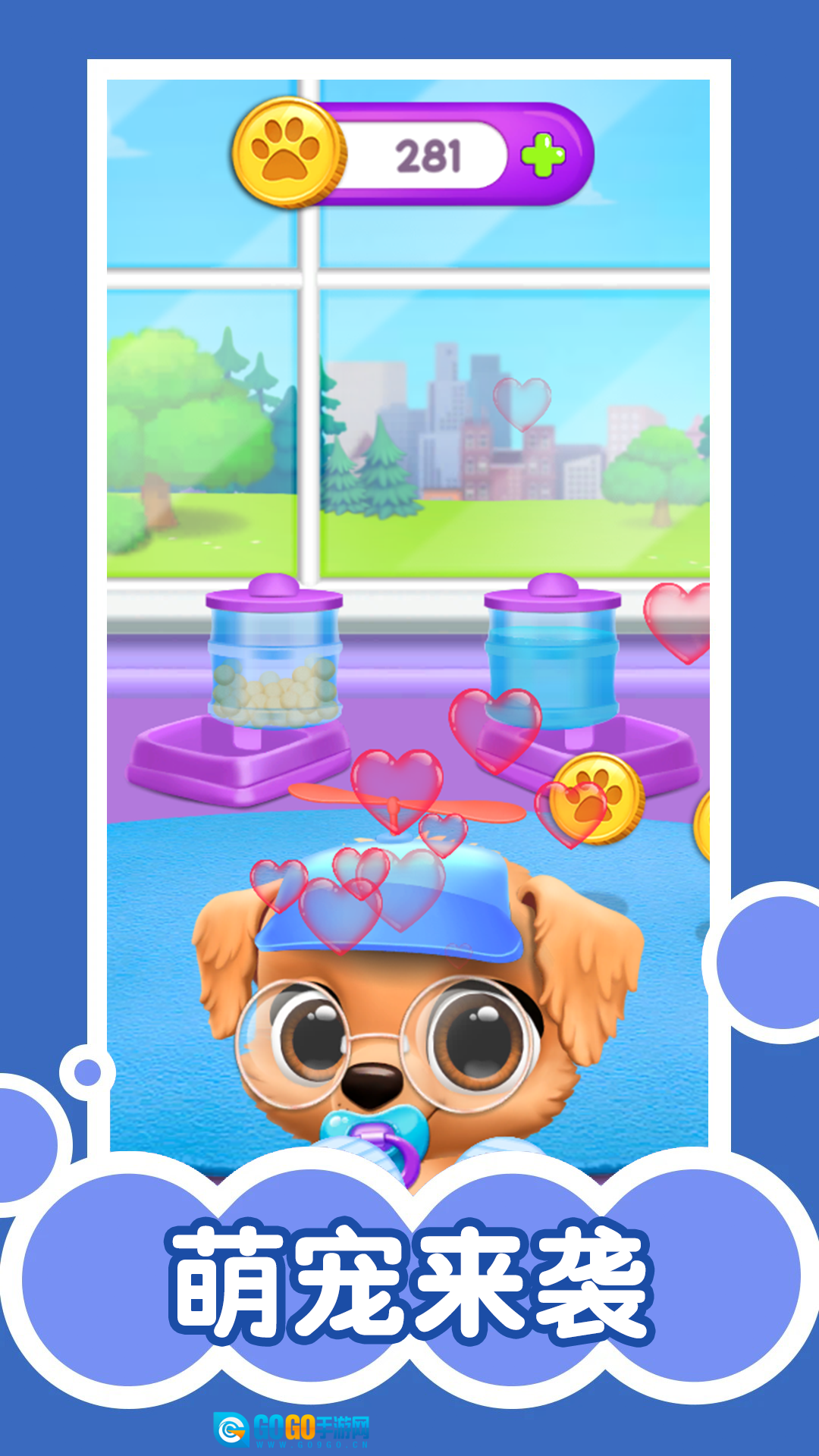 猫咪生活日记图1