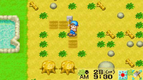 牧场物语矿石镇的伙伴们老版图2