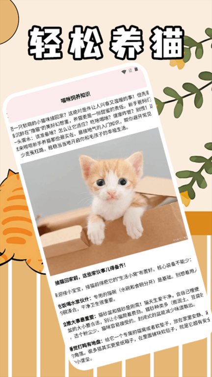 筑梦猫舍极速版图4