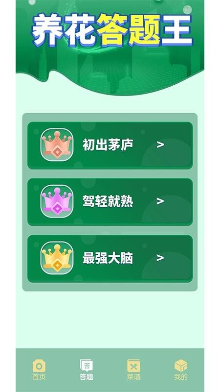 摆花齐放乐趣无限图3