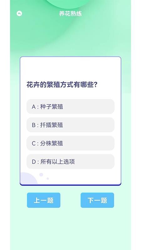 摆花齐放乐趣无限图2