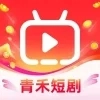 青禾短剧安装 
