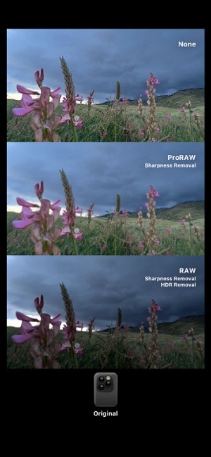 dazz复古胶片相机免费版图4