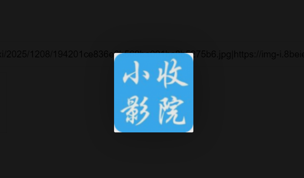 小收影视版本大全