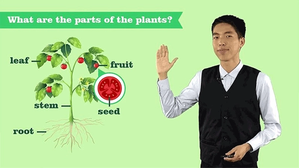 vipchild少儿国际班